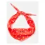 Joules Neckerchief in Red Polka Dot